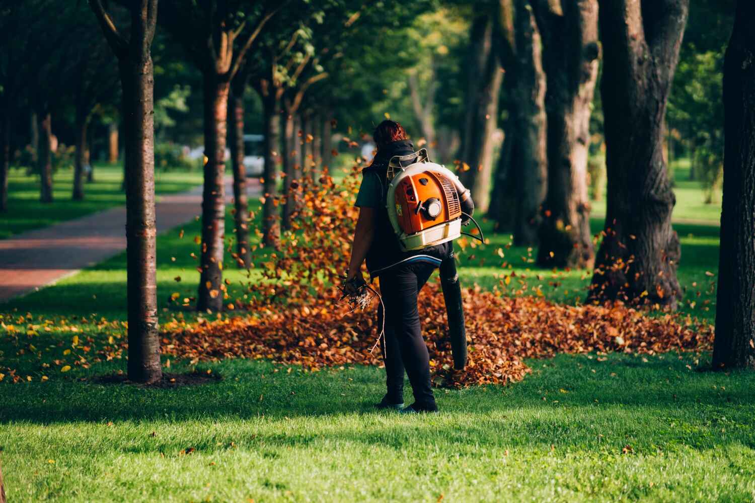 Best Residential Tree Removal  in Avenel, NJ